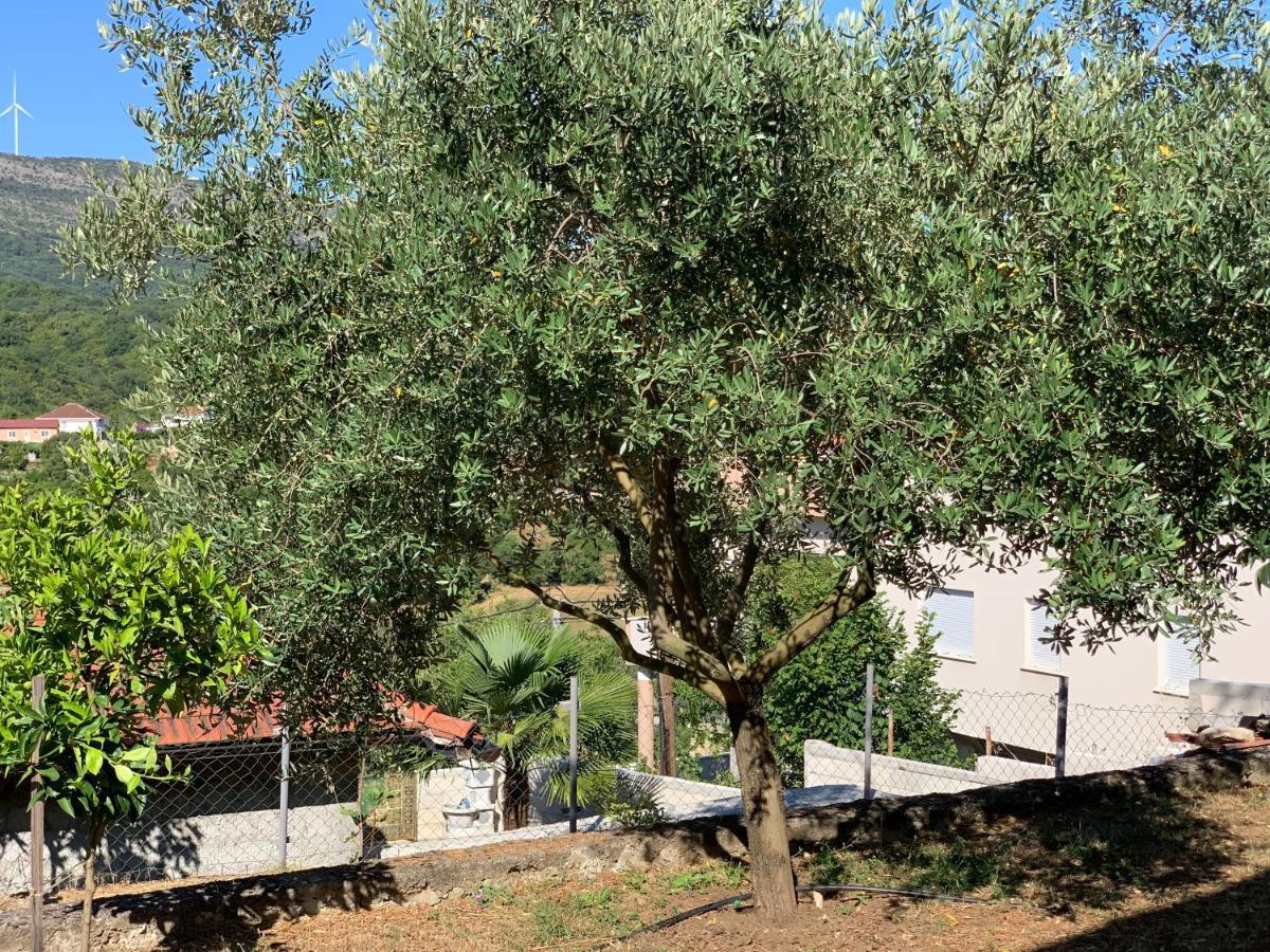 Holiday Home Bratica Улцинь Екстер'єр фото