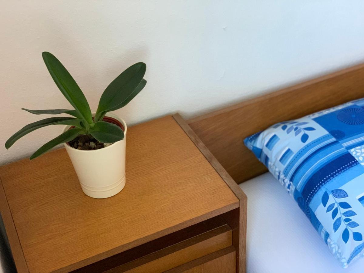 Holiday Home Bratica Улцинь Екстер'єр фото